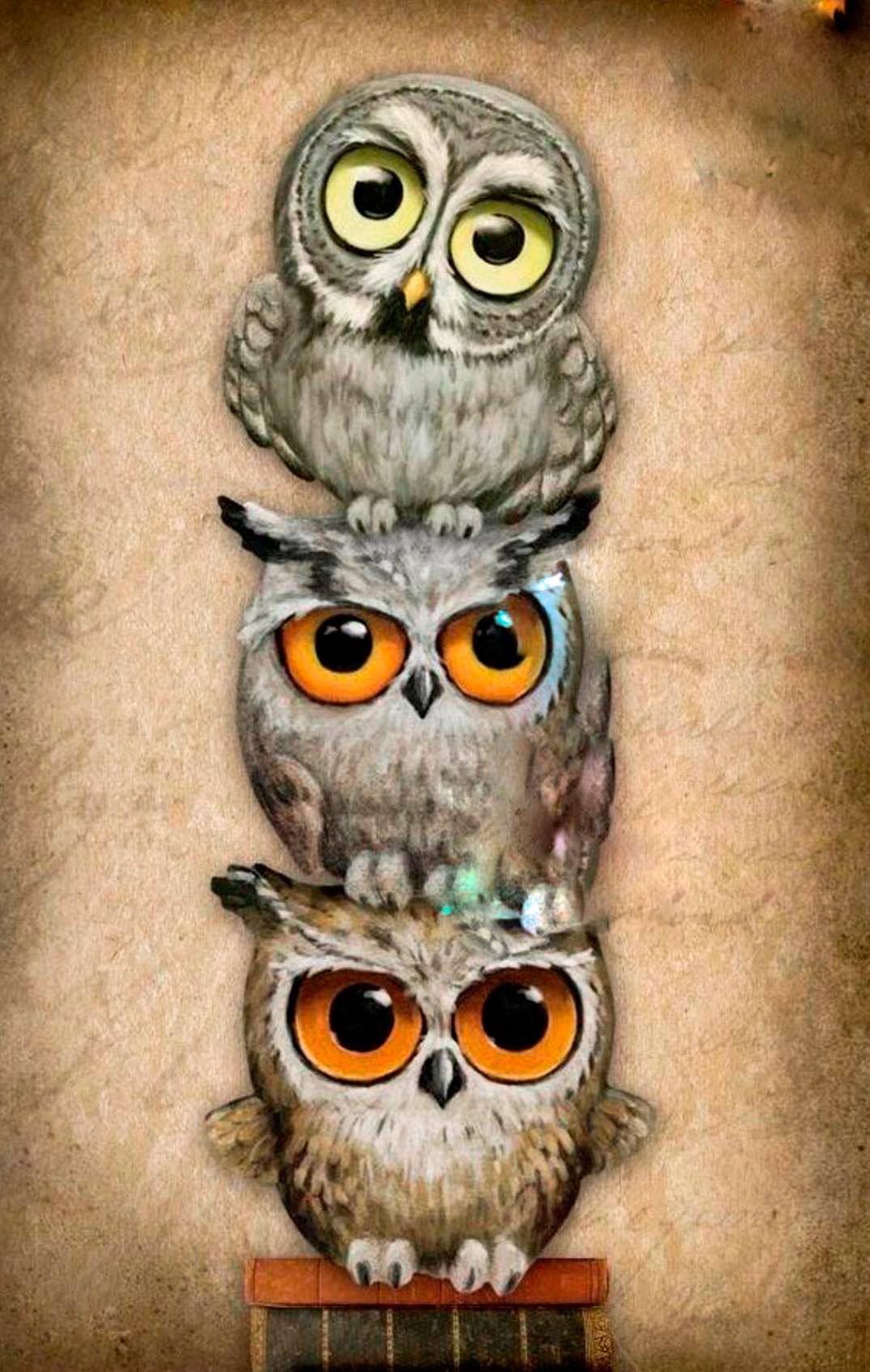 3 Owls