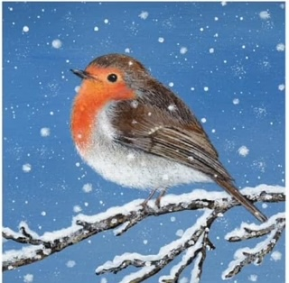 Christmas Robin Christmas Robin