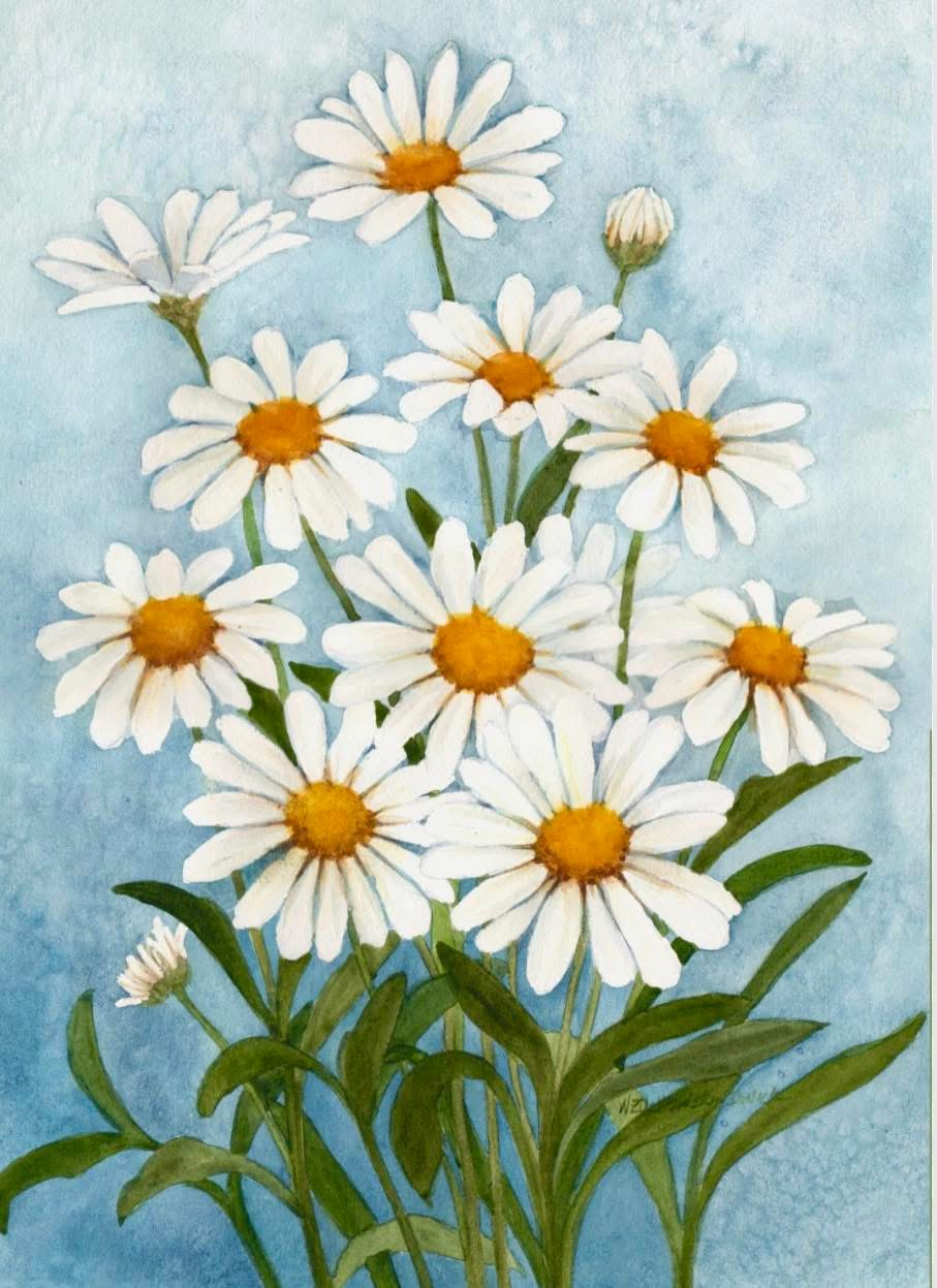 Dainty Daisies Dainty Daisies