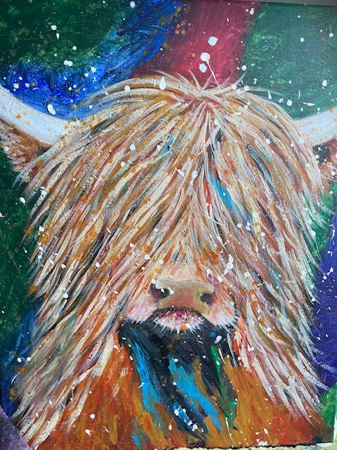 Highland Cow 1