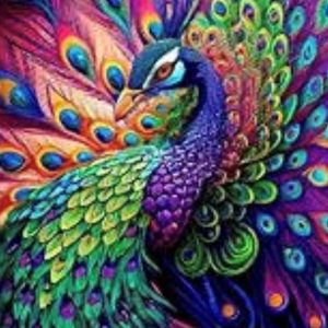 Pretty Perfect Peacock