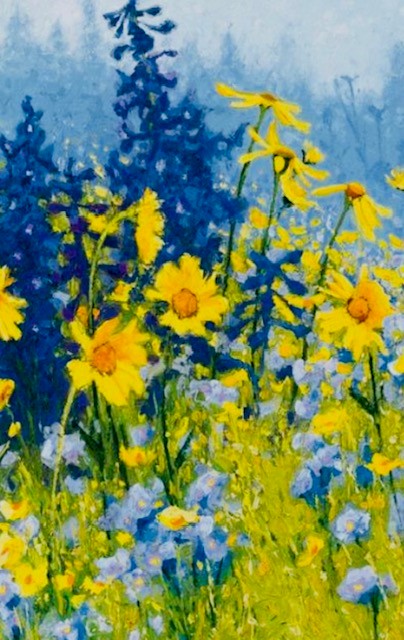 Summer Flowers Summer Flowers