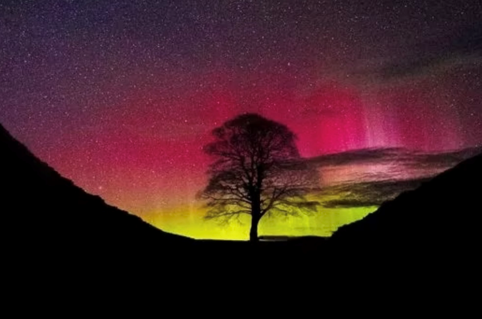 Sycamore Gap