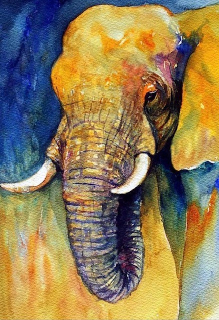 The Elegant Elephant