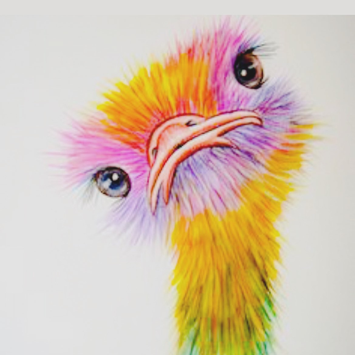 The Ostentatious Ostrich The Ostentatious Ostrich