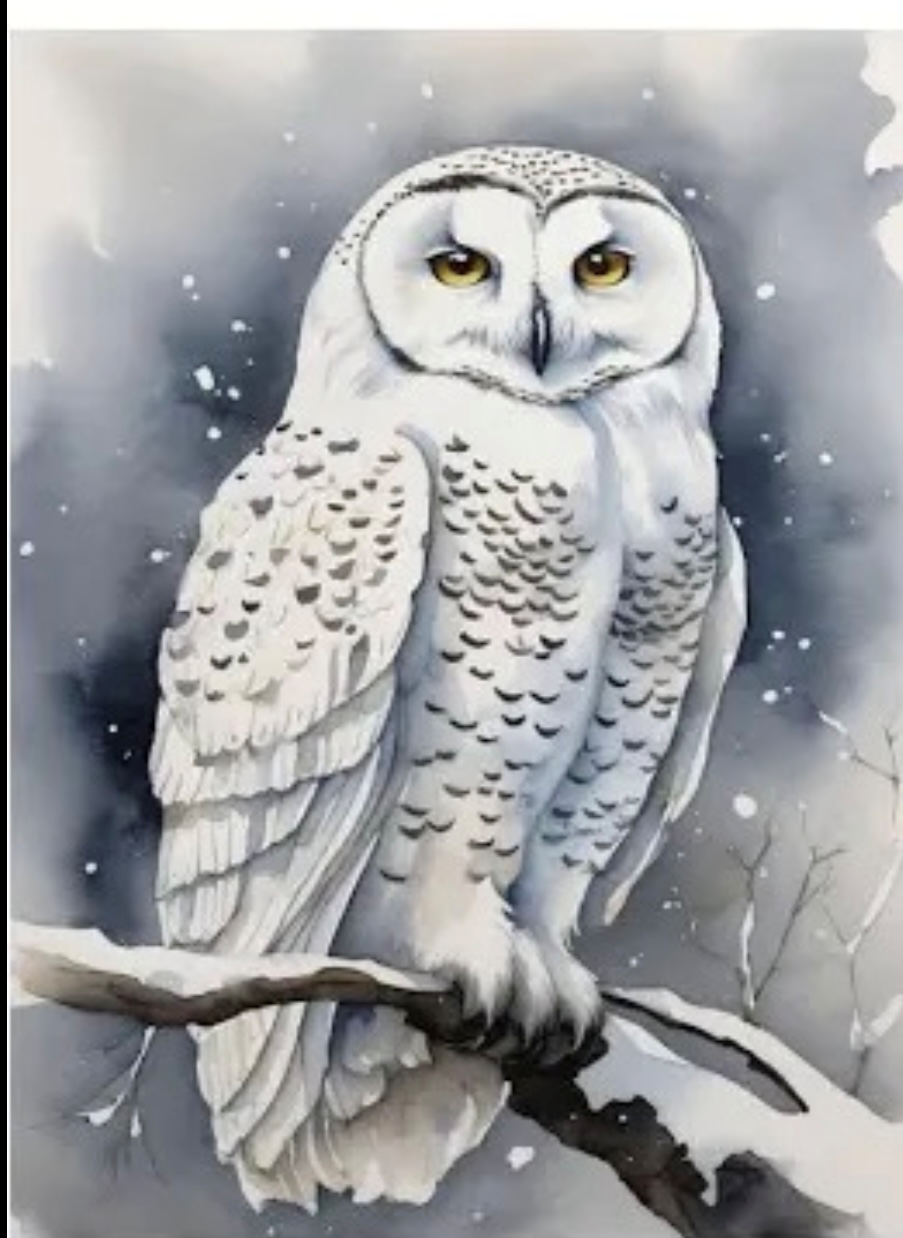 The Snowy Owl The Snowy Owl