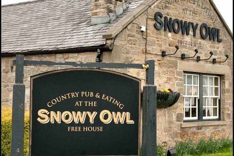 The Snowy Owl, Cramlington